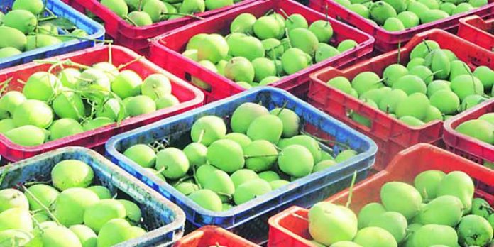 mango-750x375