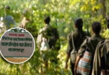 गडचिरोली भयमुक्त; नक्षल शहिद सप्ताह संपला, आता विकासाची कसोटी
