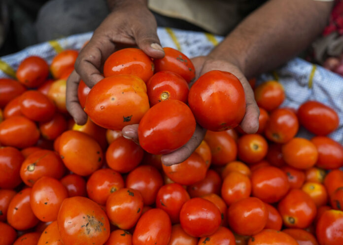 Tomato prices soar
