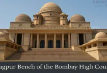 मत्स्यव्यवसाय विभागाला मुंबई उच्च न्यायालयाच्या नागपूर खंडपीठाचा मोठा दणका!