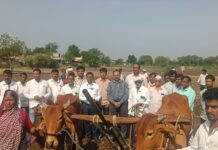 भूमिहीन शेतकरी पत्नीच्या खांद्यावरून उतरले जोखड…!