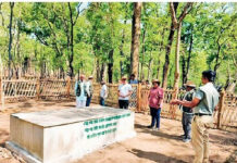 नवेगाव-नागझिरा व्याघ्र प्रकल्पात माधवझरी सफारी सुरू; पर्यावरण दिनी पर्यटकांना भेट