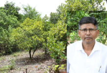यशोगाथा: भिल्याचे ‘आंबेवाले केतकर’ आता ‘उद्यानपंडित’