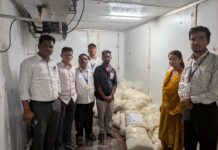 अन्न व औषध प्रशासनाची पुणे विभागात धडक कारवाई; १३.७१ लाखांचा मुद्देमाल जप्त