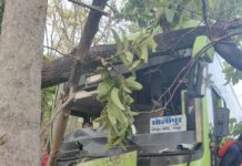 टायर फुटल्याने प्रवासी ट्रॅव्हल्सचा भीषण अपघात