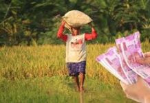 कर्जमाफीस पात्र शेतकऱ्यांच्या याद्या पोर्टलवर अपलोड