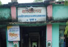 शासकीय आश्रम शाळा पुराडाचे शिष्यवृत्ती परीक्षेत दिमाखदार यश!