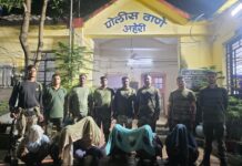 माओवादी असल्याचा बनाव करून दहशत पसरवणाऱ्या सहा जणांना गडचिरोली पोलिसांकडून बेड्या; पोमके फुलणार हद्दीतील घटना