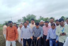 ‘पावसाचा प्रत्येक थेंब पिकासाठी वापरा’ ; जिल्हाधिकाऱ्यांनी स्वतः बीबीएफ यंत्र चालवत केली सोयाबीन पेरणी,तूरही टोकण पद्धतीने लावली