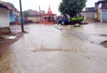जिल्ह्यात पावसाची दमदार हजेरी,बळीराजा सुखावला; शेतीच्या कामांना वेग
