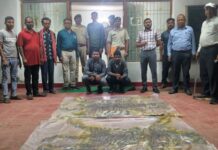 दोन वाघांच्या कातडीसह पोलीस कर्मचारी व सहकाऱ्याला अटक