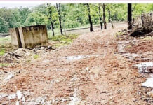 मजितपूर-गंगाझरी येथे पांदण रस्ता बांधकामात भ्रष्टाचार