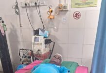 शेतात काम करणाऱ्या शेतकऱ्यावर रानडुकराचा हल्ला; शेतकरी जखमी