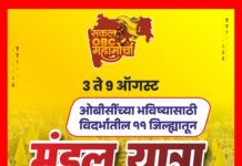 ३ ऑगस्टपासून ‘मंडल यात्रा’ भंडाऱ्यातून प्रारंभ:जातिनिहाय जनगणनेसाठी ओबीसी एकवटणार