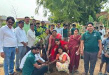 वृक्षधरा फाउंडेशनच्या पुढाकारातून फत्तेपूर येथे भव्य वृक्षारोपण; पर्यावरण संवर्धनाची सामूहिक शपथ