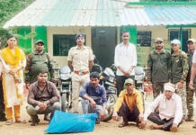 रानडुकराची शिकार; २० किलो मांसासह ४ आरोपी गजाआड