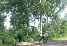 पहिल्याच पावसात देवलगाव–कवठा रस्त्याला लागले ग्रहण