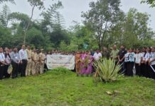 कुडवा येथे राष्ट्रीय सेवा योजनेतर्फे वृक्षारोपण; १२० हून अधिक स्वयंसेवकांचा सहभाग