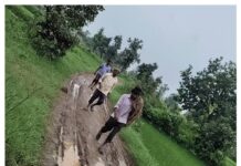 धादरी उमरी येथे रानडुकरांचा हैदोस दोघांना केले जखमी