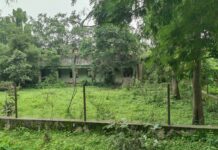 एमआयडीसीच्या जागेवर राईस मिलशिवाय मोठ्या उद्योगांची वाणवा; निम्याहून अधिक भूखंड ओसाड