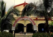 खोटी माहिती सादर करून बनले नायब तहसीलदार; ७ जणांकडून २३ लाख ६५ हजारांच्या वसुलीचे जिल्हाधिकाऱ्यांचे आदेश
