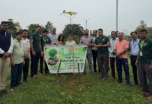 तिरोडा न्यायालय परिसरात वृक्षारोपण अभियान; पर्यावरण संवर्धनाचा संदेश