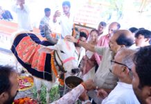गौमाता की पूजा कर सांसद राजेंद्र जैन ने मनाया जन्मदिन