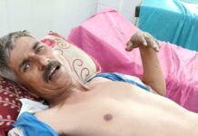 रानडुकरांच्या हल्ल्यात तीन शेतकरी जखमी; उमरी व धादरी परिसरात भीतीचे वातावरण