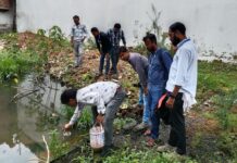 गोंदिया शहरात गप्पी मासे सोडण्याची धडक मोहीम