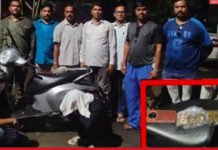 प्रतापनगरात ५२ ग्रॅम गांजासह १.८७ लाखांचा मुद्देमाल जप्त