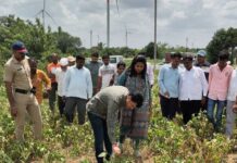शेतकऱ्यांच्या बांधावर पोहोचले जिल्हाधिकारी; जाणून घेतल्या व्यथा