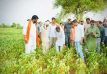 पावसाअभावी पिकांच्या नुकसानीची केंद्रीय राज्यमंत्री प्रतापराव जाधव यांनी बांधावर जाऊन पाहणी