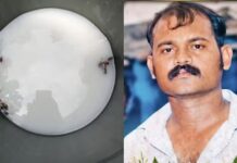 शेतात फवारणीसाठी गेले अन् मधमाशांनी केला भीषण हल्ला, शेतकऱ्याचा दुर्दैवी मृत्यू